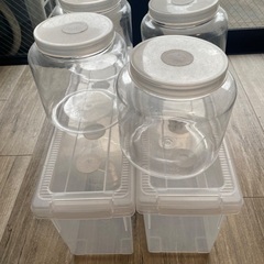 クワガタ・カブト 用品の画像