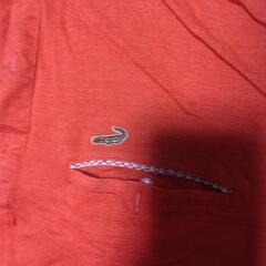 LACOSTE襟付きTシャツの画像