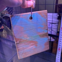 ビカクシダ　ウィリンキーの画像