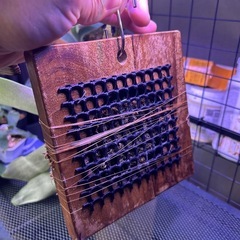 ビカクシダ　ウィリンキーの画像