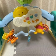 プーメリー　ベビージムの画像