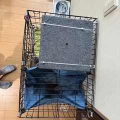 ケージの画像