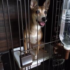 最期まで一緒に居てくれる方！！