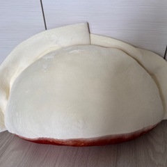 新品 大阪王将餃子ウルトラBIGぬいぐるみの画像