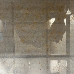 水槽サイズ60ですの画像