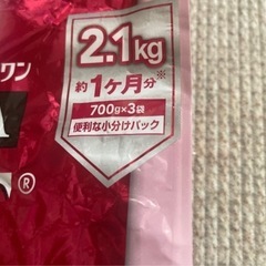 犬 餌の画像
