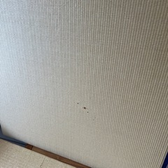 小さい畳4枚、2畳分の画像