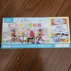 キジマ　ご招待券