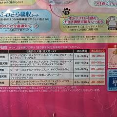 中型犬用 女の子用 マナーウェア 新品・未使用品①の画像