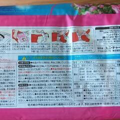 中型犬用 女の子用 マナーウェア 新品・未使用品②の画像