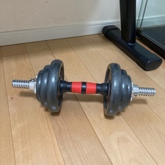 トレーニングベンチとダンベルの画像