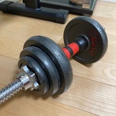 トレーニングベンチとダンベルの画像