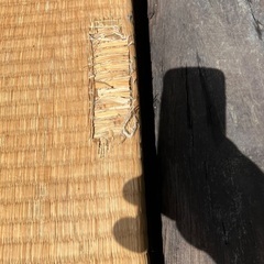 畳の画像