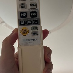 シーリングライト　アイリスオオヤマの画像