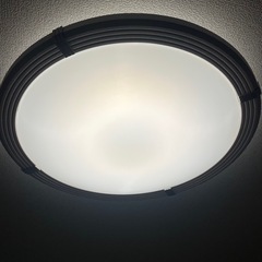 シーリングライト　アイリスオオヤマの画像