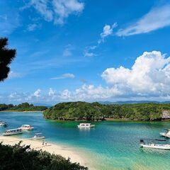 真珠販売の画像