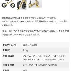 キャンプアウト　トレーニングバイクの画像
