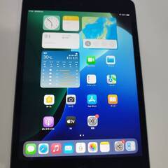 【Wi-Fiモデル】iPad mini 第5世代/256GB/A2133〈MUU32J/A〉の画像