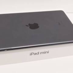 【Wi-Fiモデル】iPad mini 第5世代/256GB/A2133〈MUU32J/A〉の画像