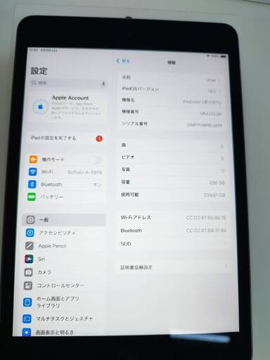 【Wi-Fiモデル】iPad mini 第5世代/256GB/A2133〈MUU32J/A〉