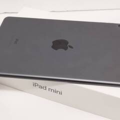 【Wi-Fiモデル】iPad mini 第5世代/256GB/A2133〈MUU32J/A〉の画像