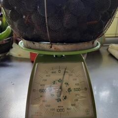巨峰種あり約2100gの画像
