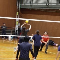 \\8/19(火)開催！// バレーボールしませんか？🏐