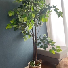 フェイク観葉植物の画像
