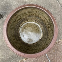 睡蓮鉢　メダカ鉢にもの画像
