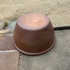 睡蓮鉢　メダカ鉢にもの画像