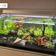 フレームレス　90cmガラス水槽の画像