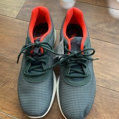 NIKE　ナイキ シューズ  28.0の画像