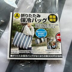 折りたたみ保冷バッグの画像