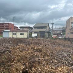 薪　　焚き火　木　無料で差し上げます！　の画像