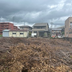 いくらでも無料薪
の画像
