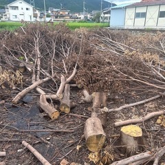 いくらでも無料薪
の画像