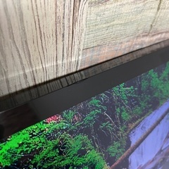 即日受渡❣️SONY 24型液晶テレビ外付けHDD裏番組録画可11800円の画像
