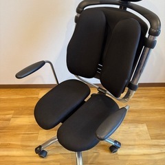 HARA CHAIR ハラチェア ライル ニーチェ オフィスチェアの画像