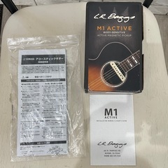 YAMAHA FS830  LRbaggs M1 active付き
の画像