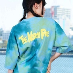 ザ　ノースフェイスＴシャツの画像