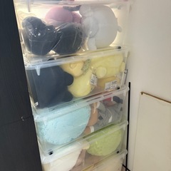 ぬいぐるみの画像
