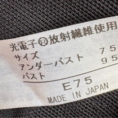 グラントイーワンズ　LALAニッパービスチェ　E75の画像