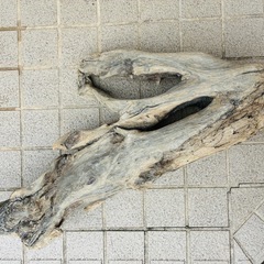 【一点もの】存在感抜群！【天然流木】オブジェにもなる大型流木と流木アソートセットの画像