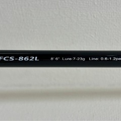 釣り 竿 リール セット シーバス 
メジャークラフト ファーストキャスト  アブガルシア スーペリア2000SHの画像
