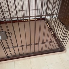 ケージ　犬　
の画像