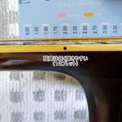 初心者でもとても弾き易い猫の目　Cat's Eyes CE-300の画像