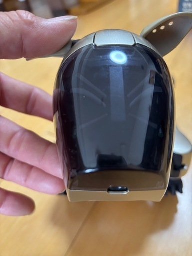 ジャンクだけど美品SONY アイボ（AIBO）