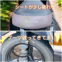 すぐ乗れます　HONDA AF61 トゥデイ　大人気✨エンジン絶好調　4スト低燃費✨の画像