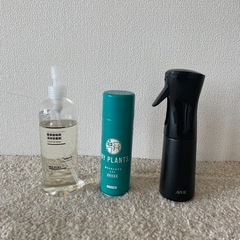 観葉植物　フィロデンドロン・ロジョコンゴ　叢×HAY購入　おまけ付き の画像