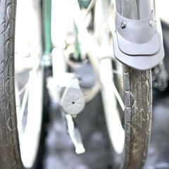 ダホン折り畳み自転車ルート グリーン　の画像